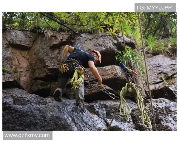 探索户外裤子品牌的选择指南助你轻松应对各种极限环境